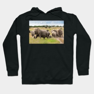 Elephant Family, Ngorongoro Concession, Tanzania Hoodie